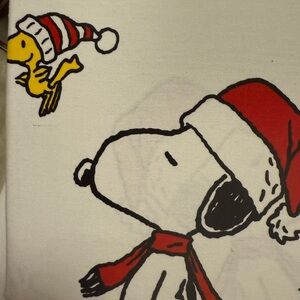 Snoopy and Woodstock Christmas shower curtain